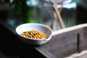 bienenpollen-streetfood-austria-blog-rezept